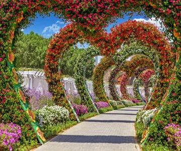 Transfer to Miracle Garden